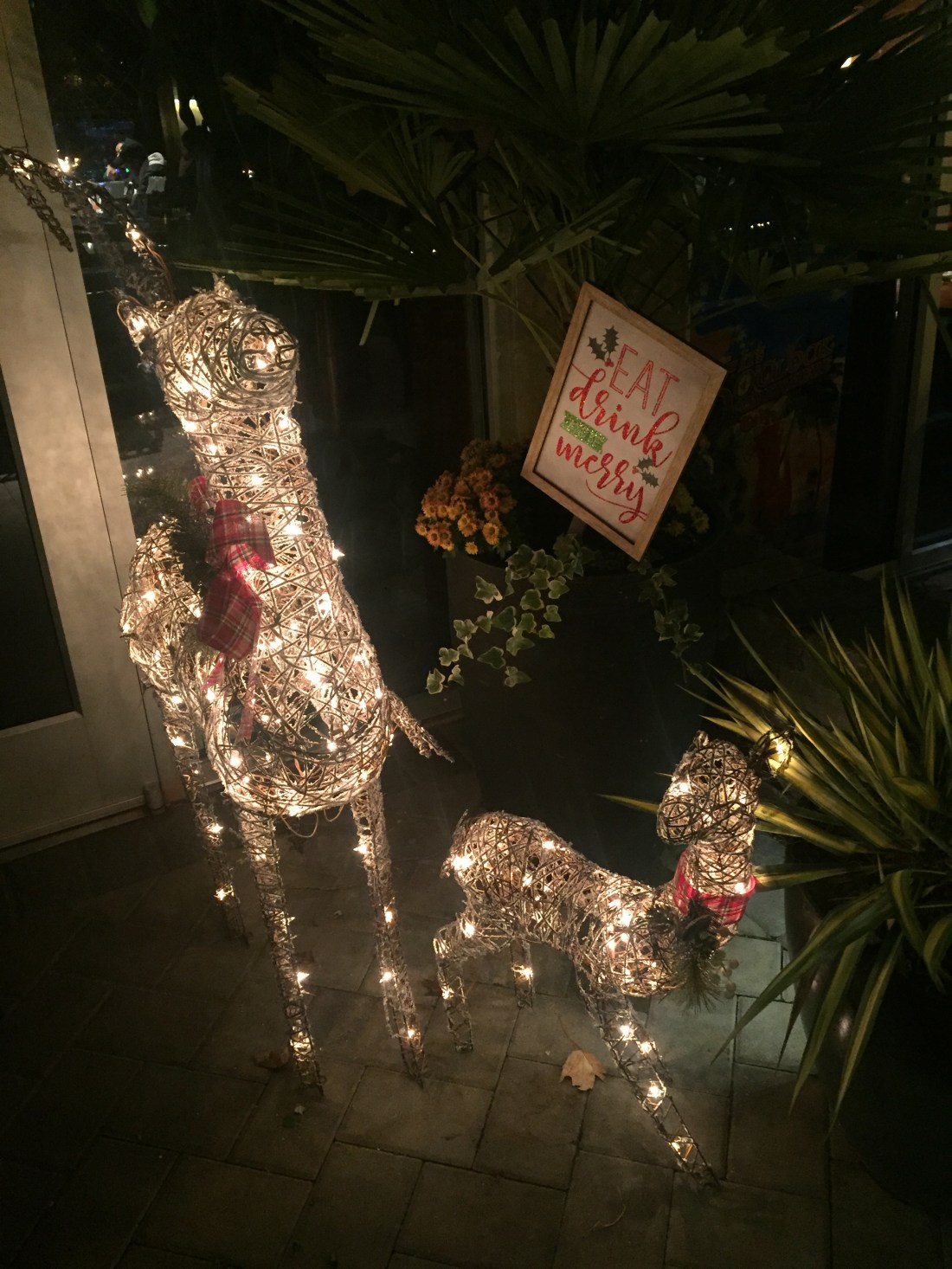 49647090_333603680578655_6506251764059078656_n