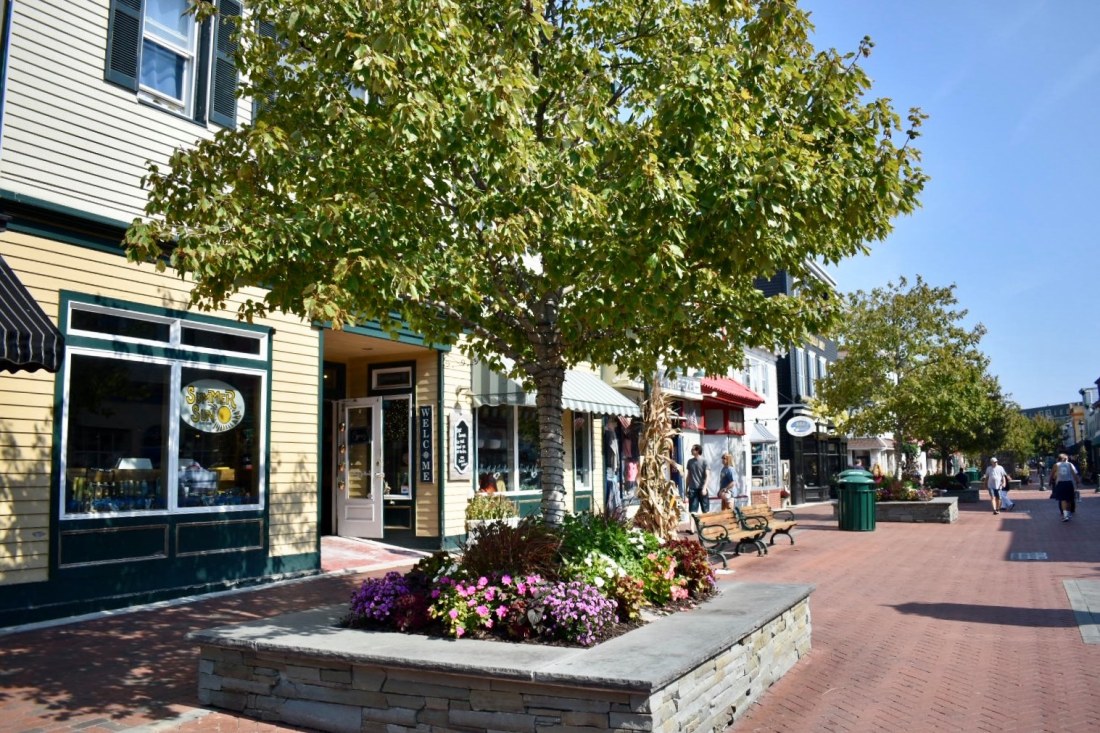 71761492_1390668747760109_3416472275799506944_n