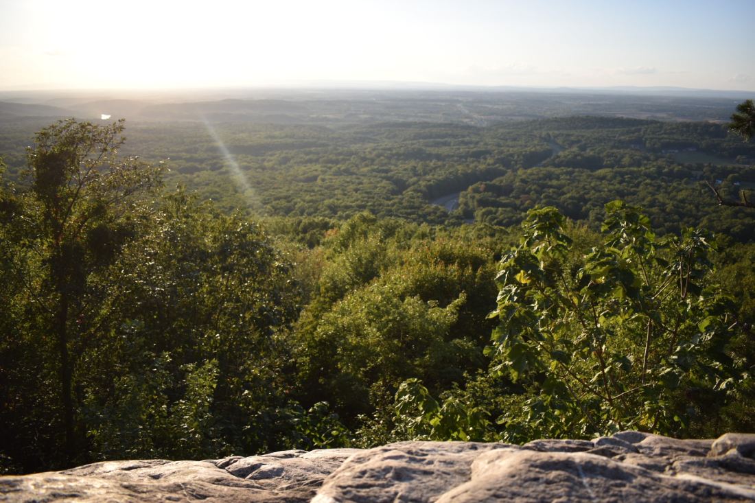 72744290_2558747547549609_6339027375598075904_n