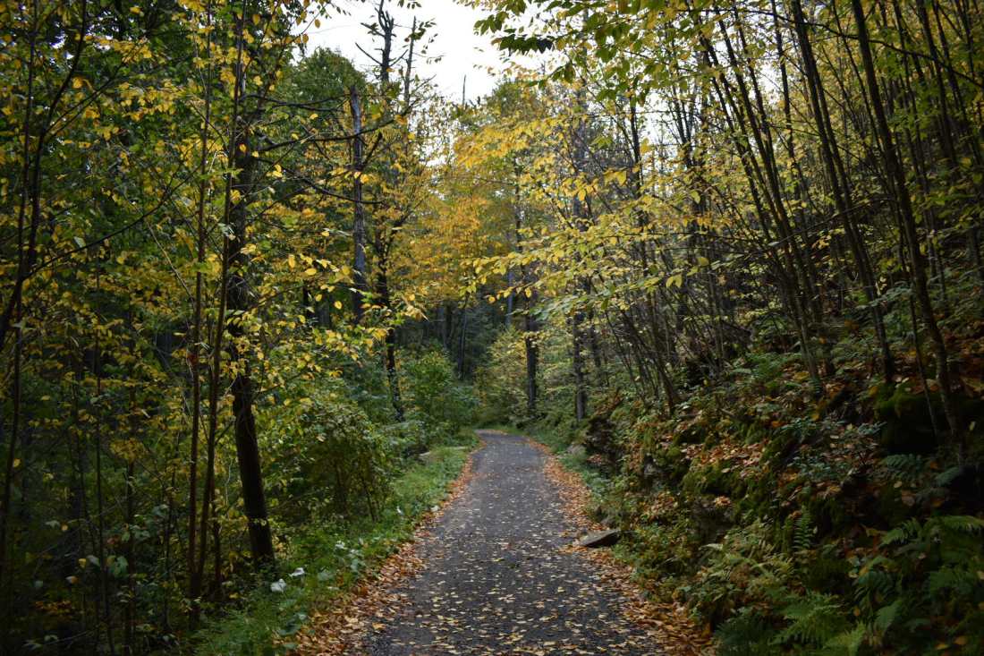 74217330_1238384519705974_2065643084829425664_n