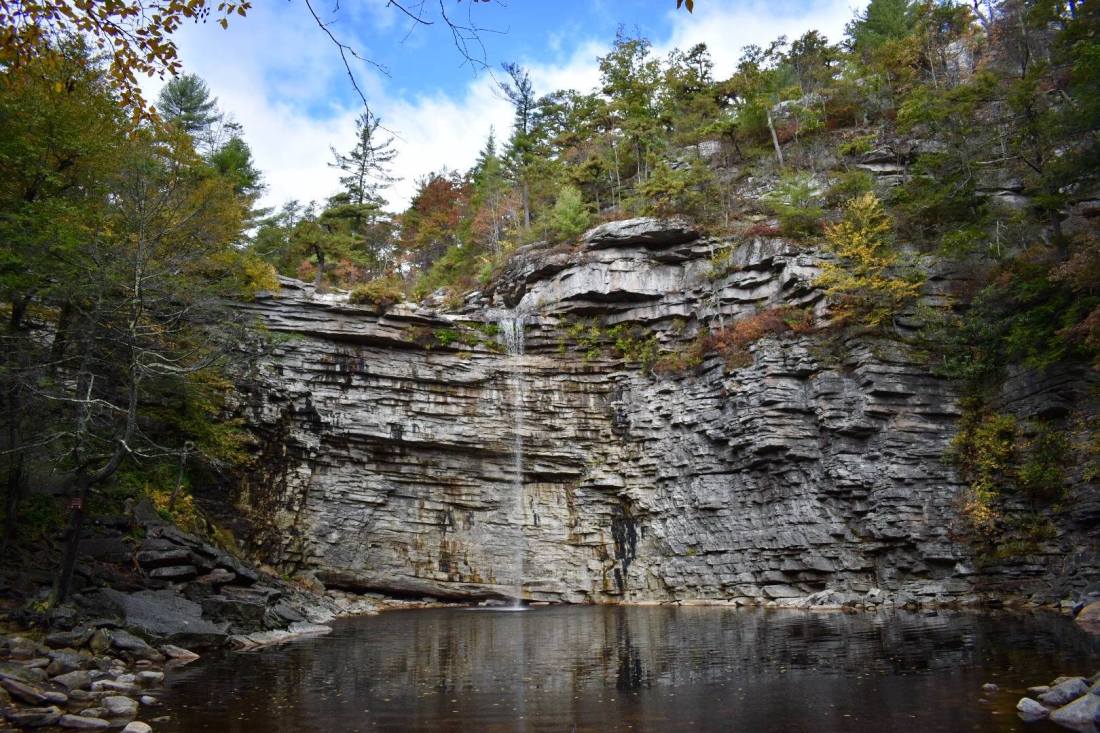 74911777_531528601020299_7453480460157452288_n