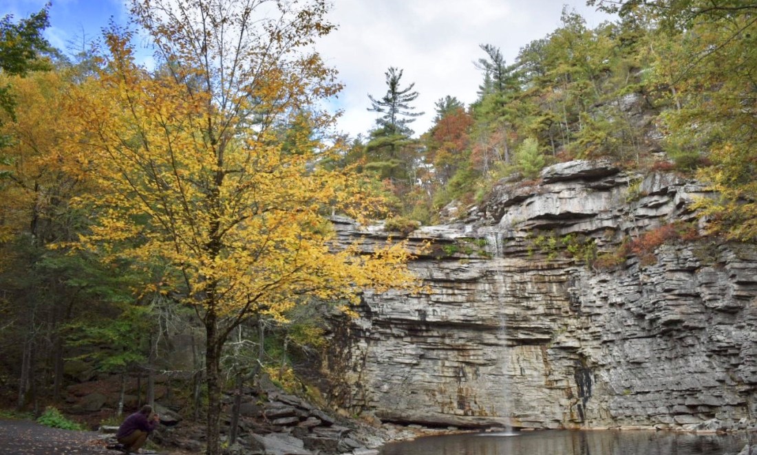 77096701_423520588589328_5991674034427789312_n