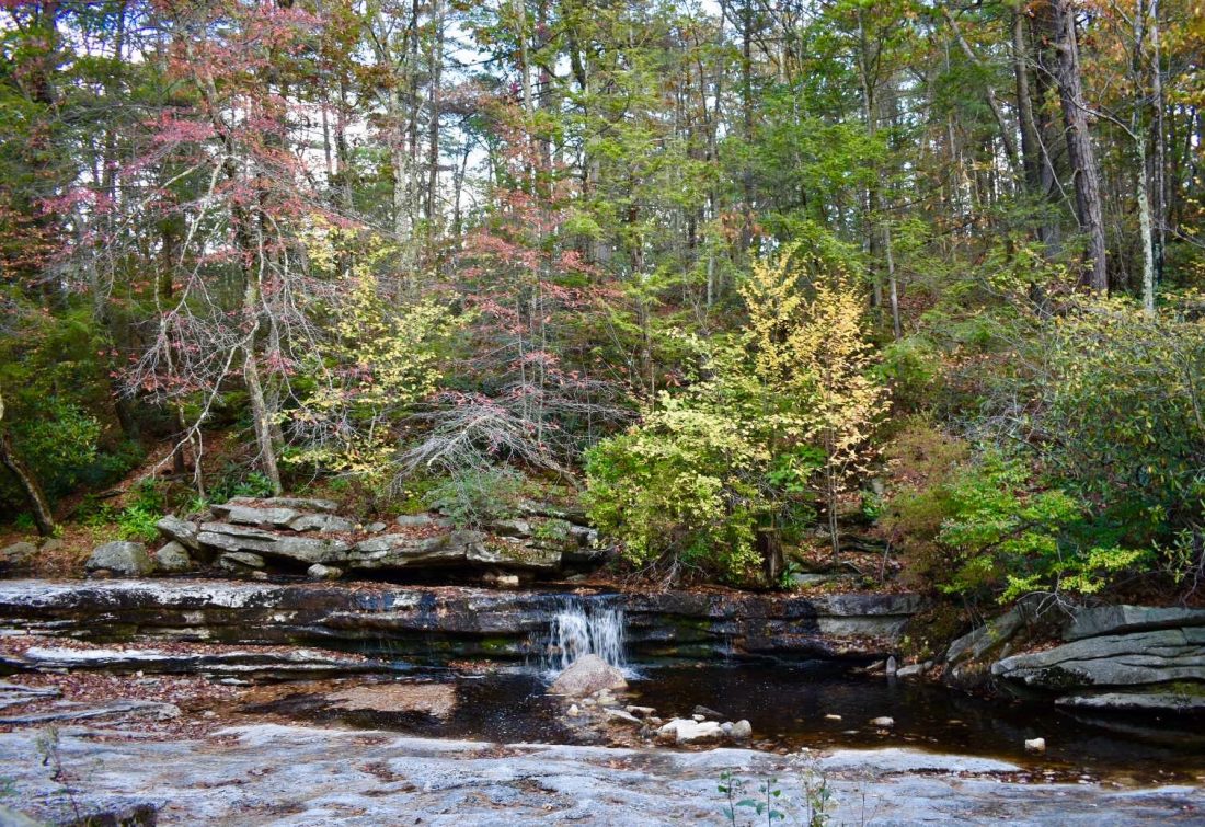 77275534_2467812560213480_7292326548407844864_n