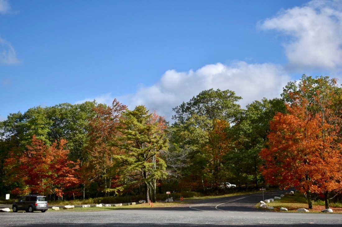 77393644_1135963343269042_3938590232835784704_n